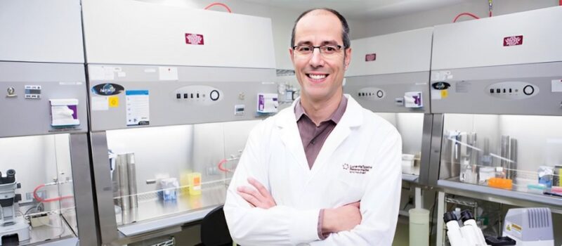 Postdoc positions available in the Miguel Ramalho-Santos Lab