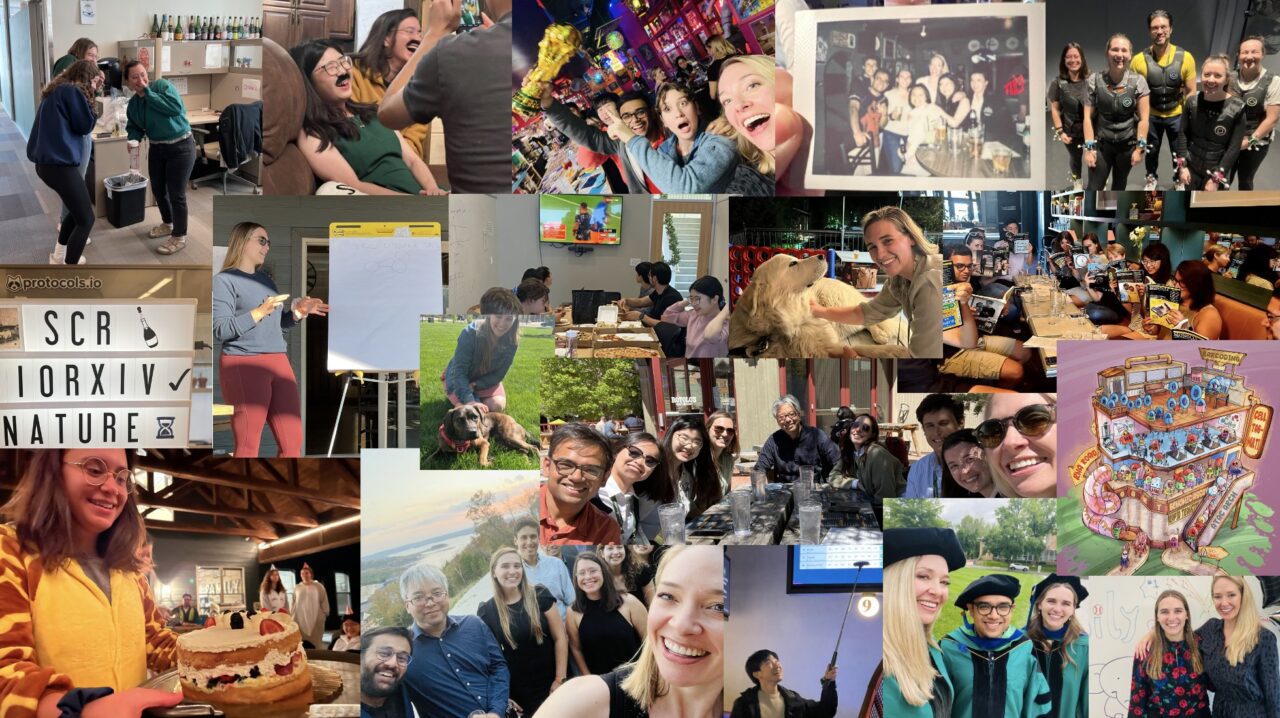Samantha Morris: Our lab is recruiting talented postdocs to join the team