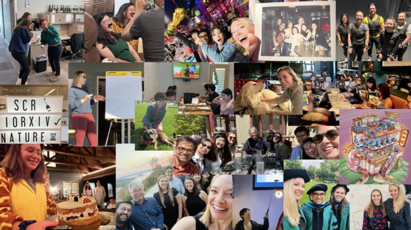Samantha Morris: Our lab is recruiting talented postdocs to join the team
