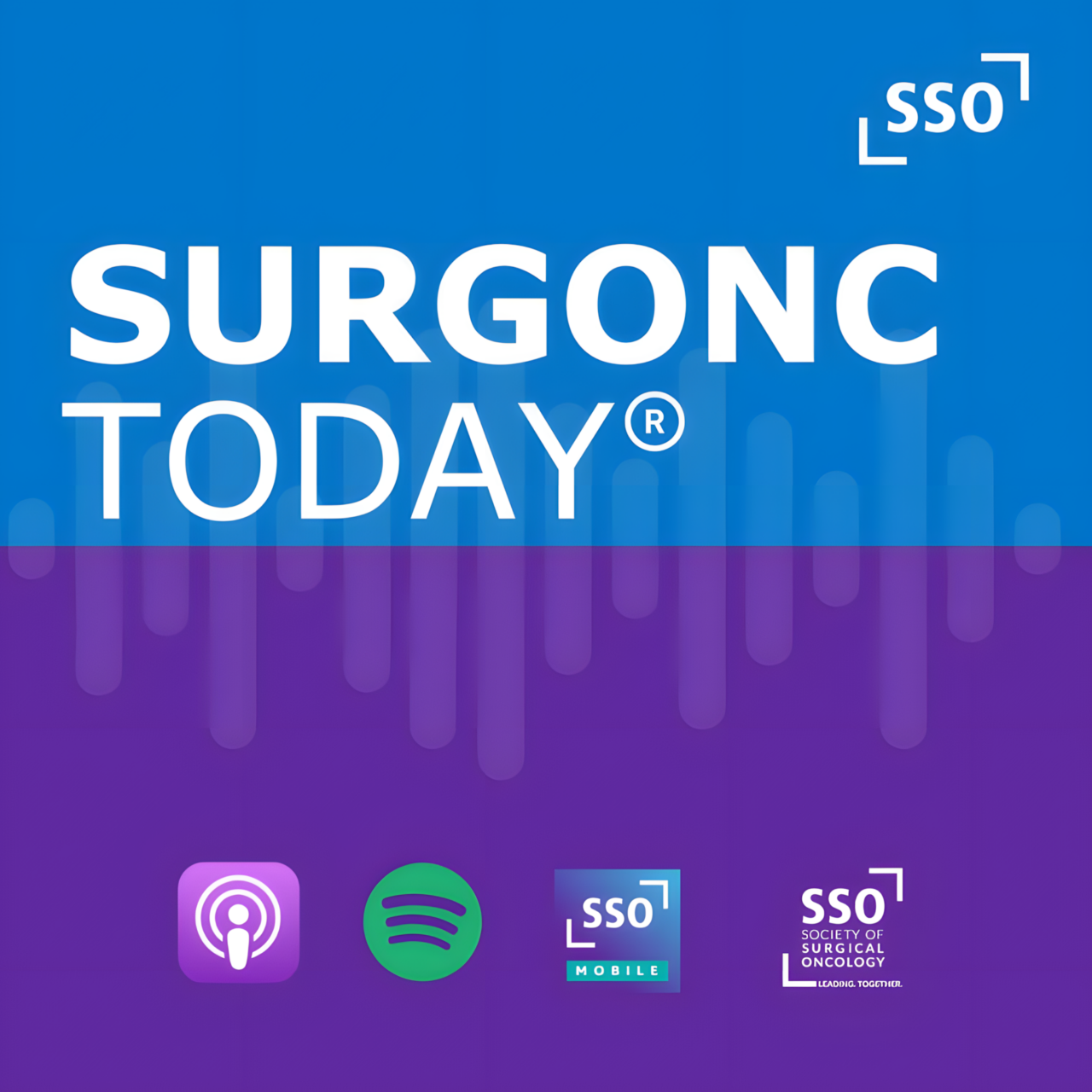 Explore different barriers to implement international cancer quality standards in developing countries – Society of Surgical Oncology