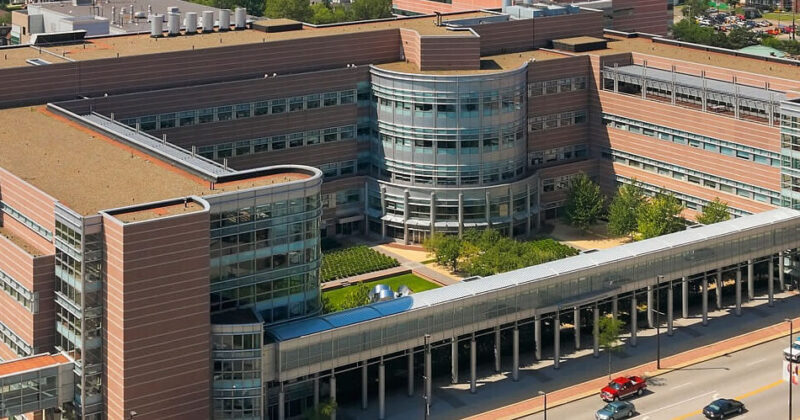 Postdoctoral Fellow PhD Position available at Cleveland Clinic Lemmer Research Institute