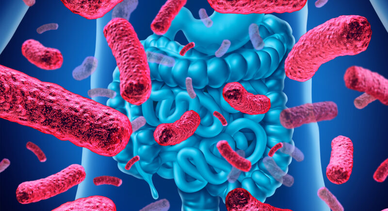 Kelly Anderson: Gut microbiome and cancer outcomes holds great potential for future research and treatments