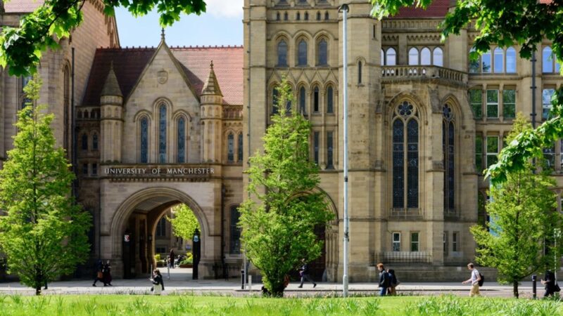 The University of Manchester has uncovered a more efficient and sustainable way to make peptide-based medicines