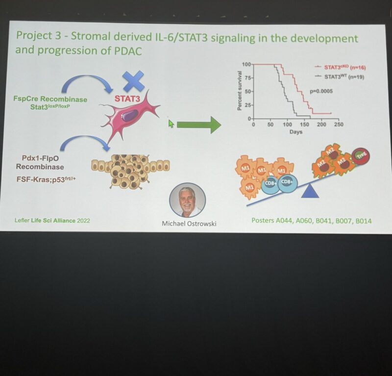 tumor microenvironment