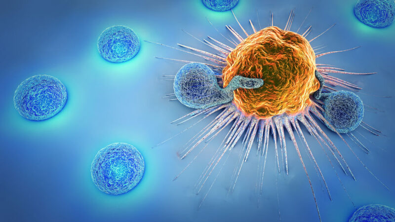 Bringing the Promise of Immunotherapy to More Patients – Cancer Research Institute