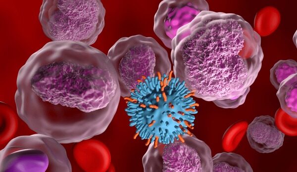 No evidence to suggest that CAR T cell therapy leads to secondary cancers