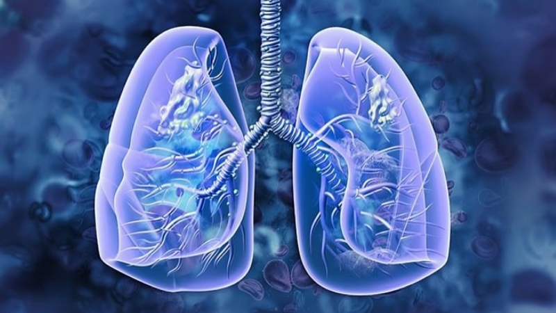 The Journal of Experimental Medicine – Important roles of STAG2 in suppressing lung tumorigenesis