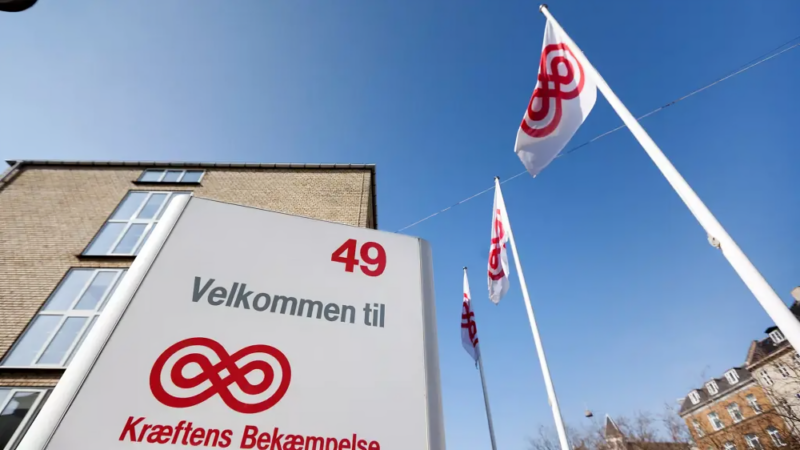 How Cell Cycle Control Safeguards Genome Replication – Danish Cancer Institute