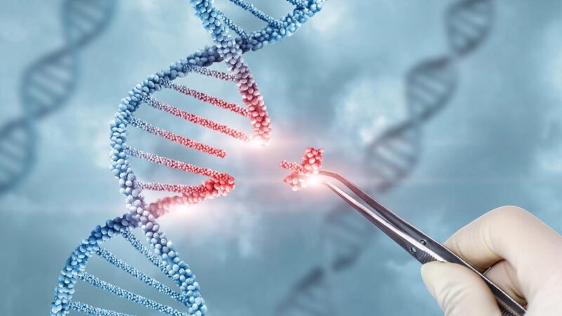 Miguel Bronchud: Interesting single-arm, open-label, phase 1 study on CRISPR Therapeutics by Swaminathan Iyer et al