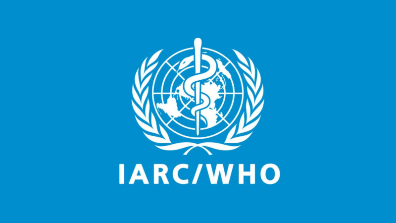 CEROPAL Inaugurates at the Angolan Institute for Cancer Control – IARC/WHO