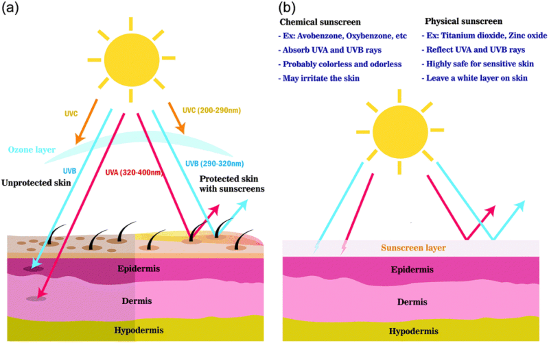 Sunscreen causes cancer