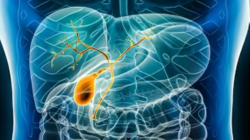 DDR mutations and outcome in biliary tract cancers