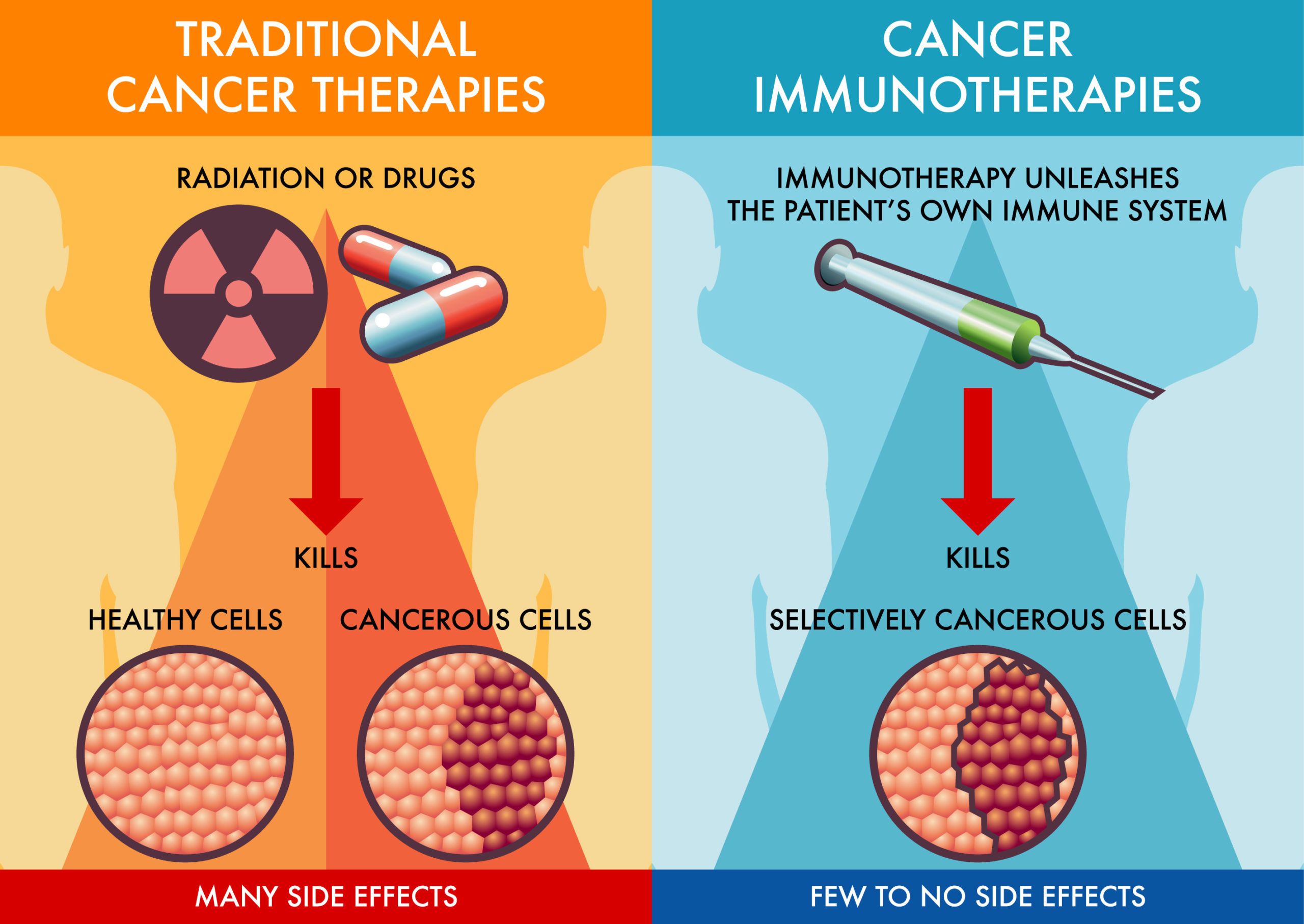 How Long Does Immunotherapy Stay in Your System