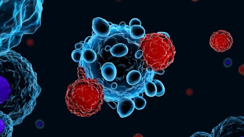 How “sprinter” and “marathoner” CAR T-cells work – St. Baldrick’s Foundation