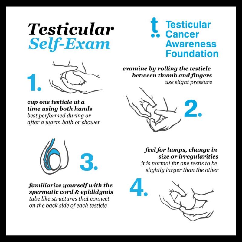 Testicular cancer self-exam