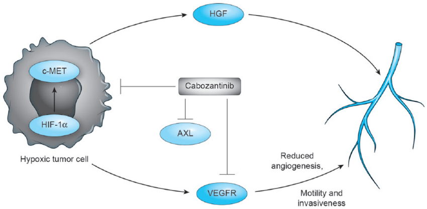 Cabozantinib FDA approval