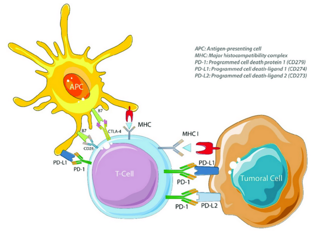 ocular side effects of immune checkpoint inhibitors