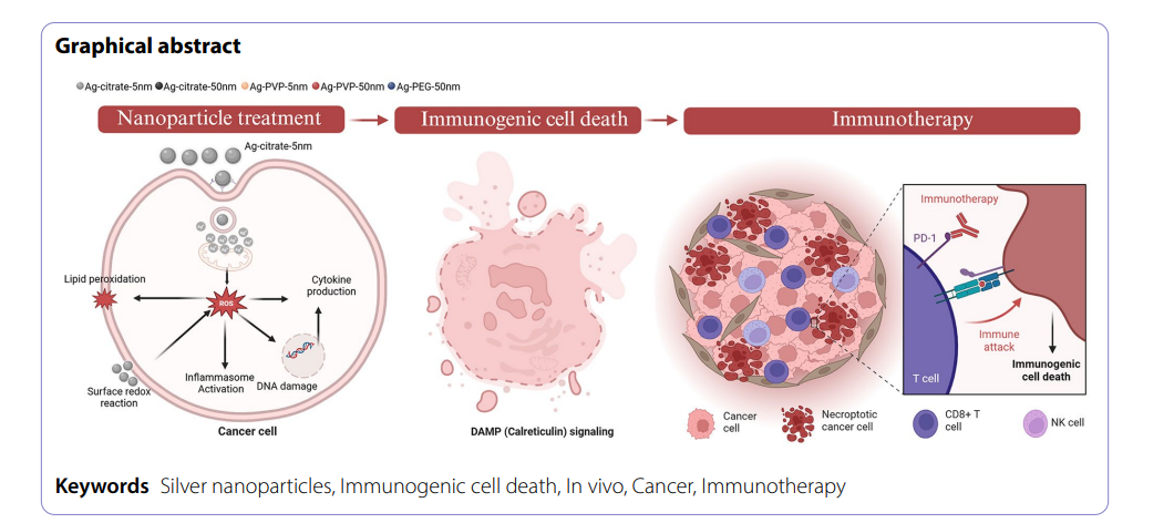 nanoparticle immuntoerhapy