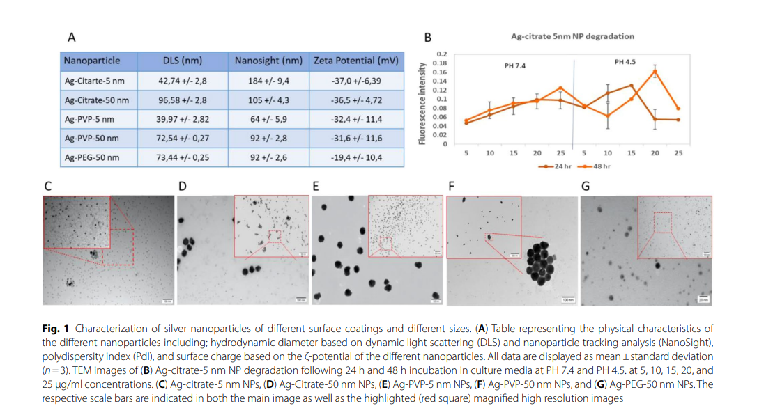 nanoparticle silver immuntoerhapy