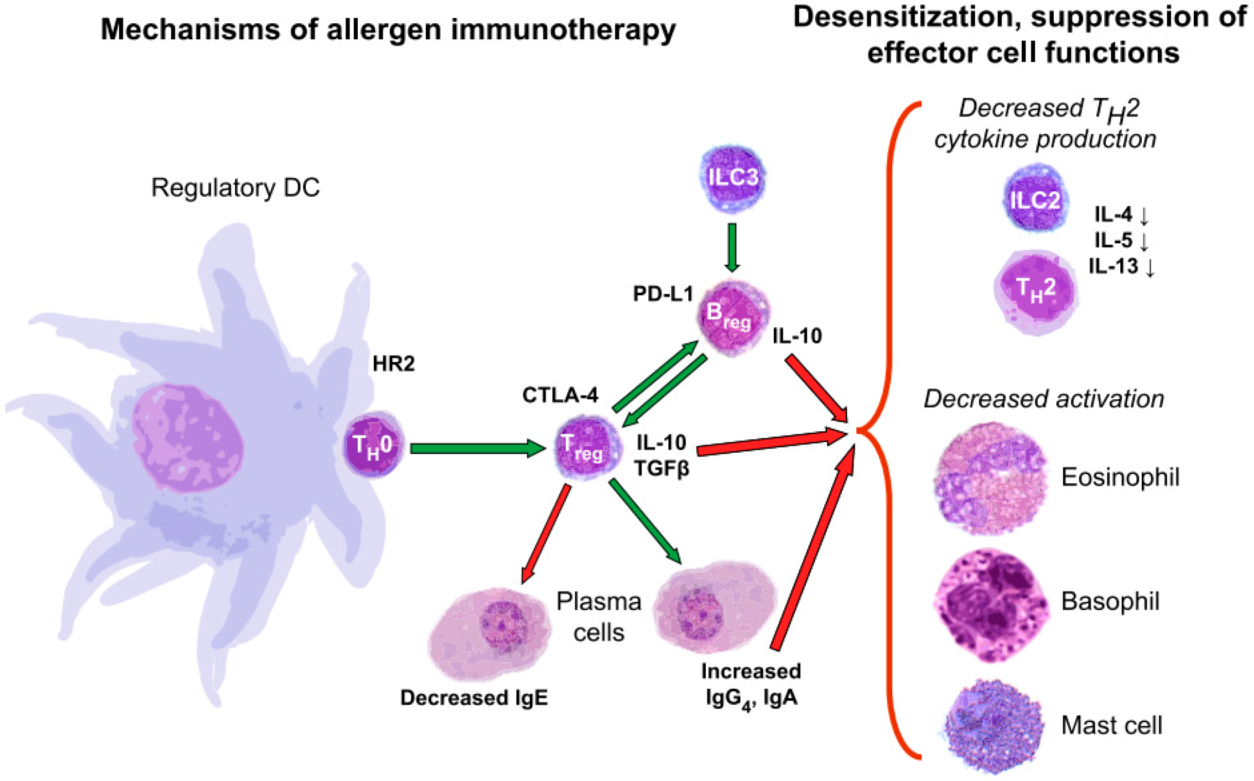 Allergy Immunotherapy