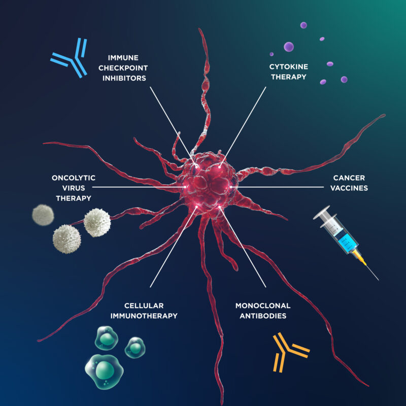 Types of immunotherapy