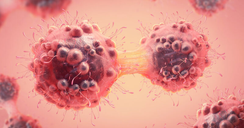 Cancer herediatry