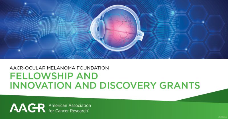 AACR and Ocular Melanoma Foundation are offering two grants for ocular/uveal melanoma research