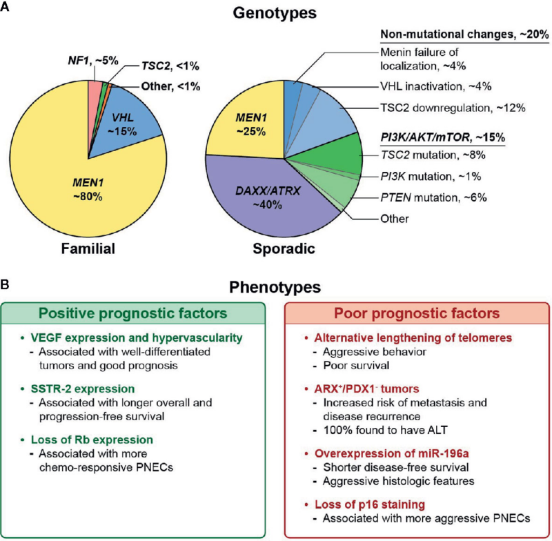 Pancreatic-neuroendocrine-tumours