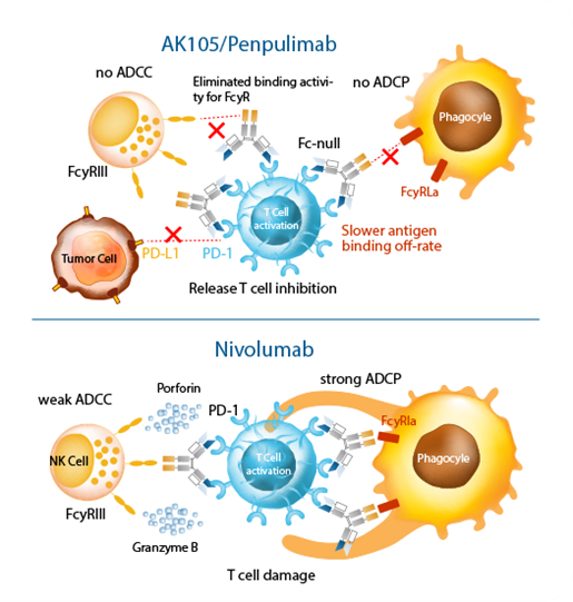 Penpulimab