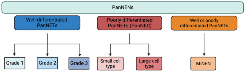 Pancreatic-neuroendocrine-tumors