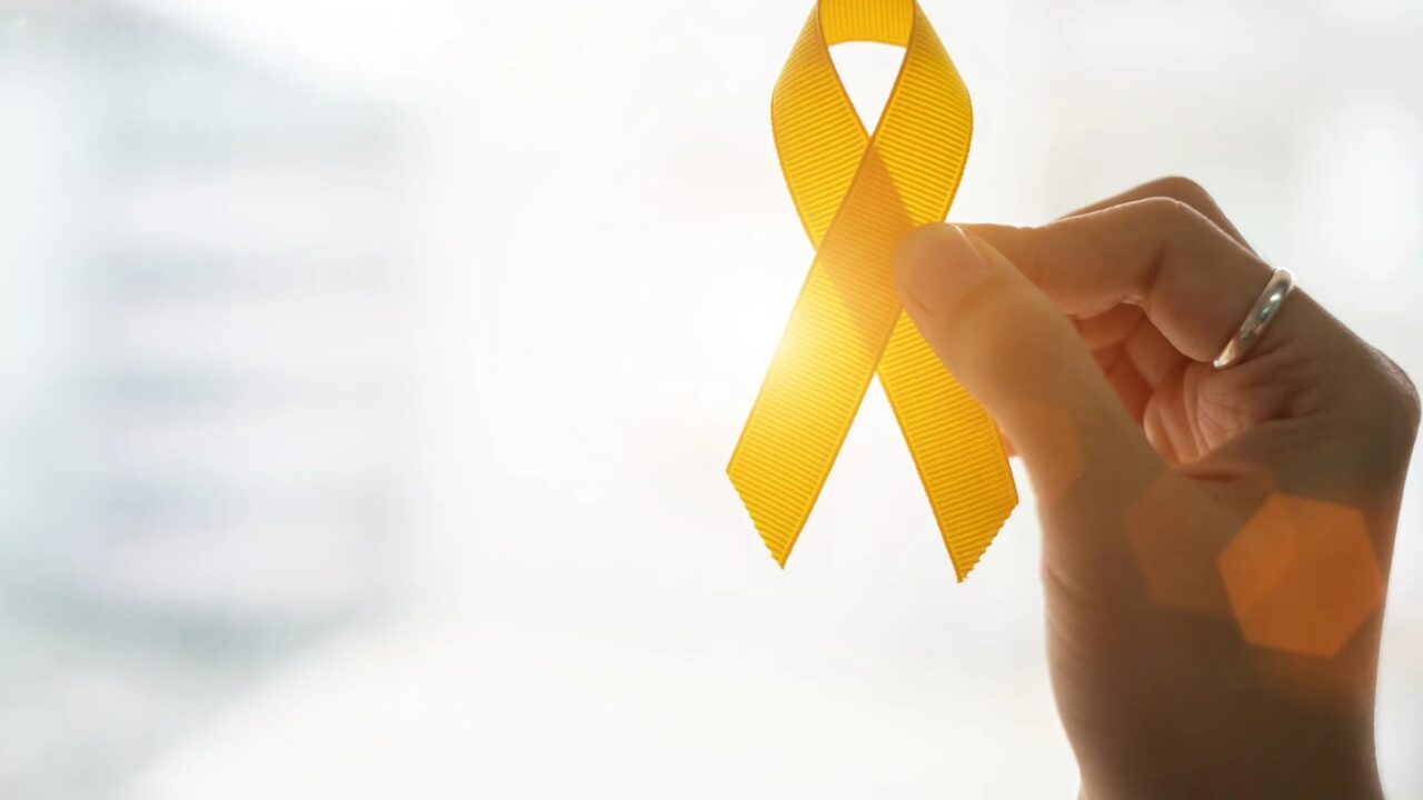 Megan’s Rose of Hope: a charity dedicated to making a difference in the fight against childhood cancer – ICR