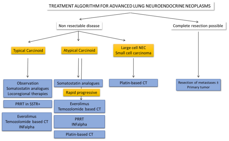 Neuroendocrine-lung-tumors