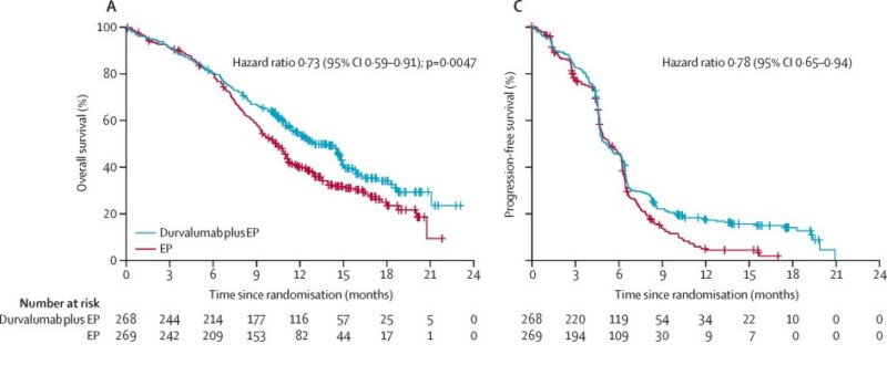 CASPIAN trial's results on OncoDaily