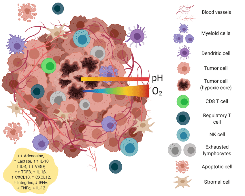 Tumor Microenvironment