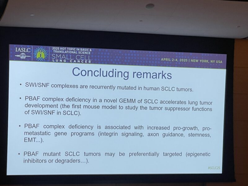 SCLC