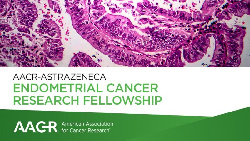 The AACR-AstraZeneca Endometrial Cancer Research Fellowship provides $130,000 Grant