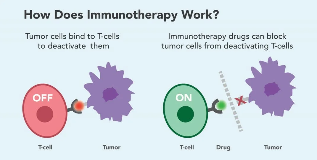 How Does Immunotherapy Work