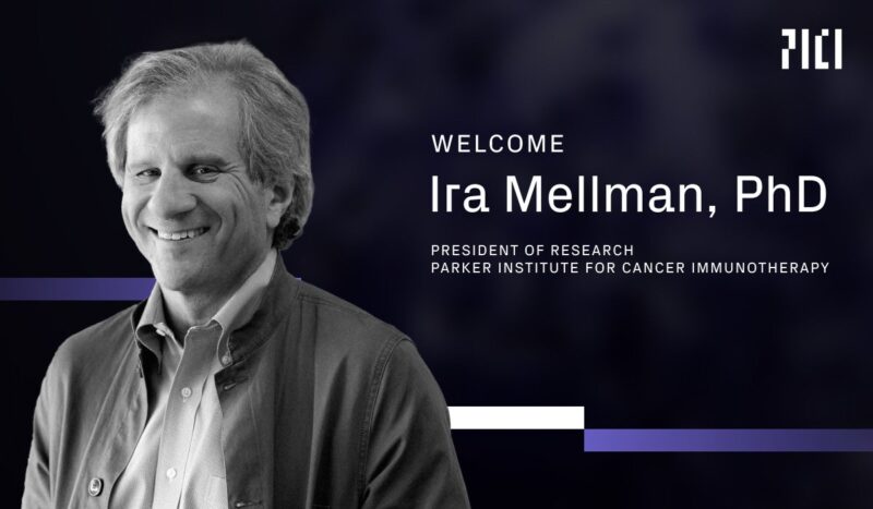 Ira Mellman