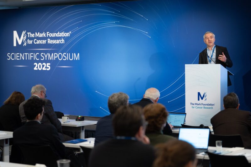 The Mark Foundation