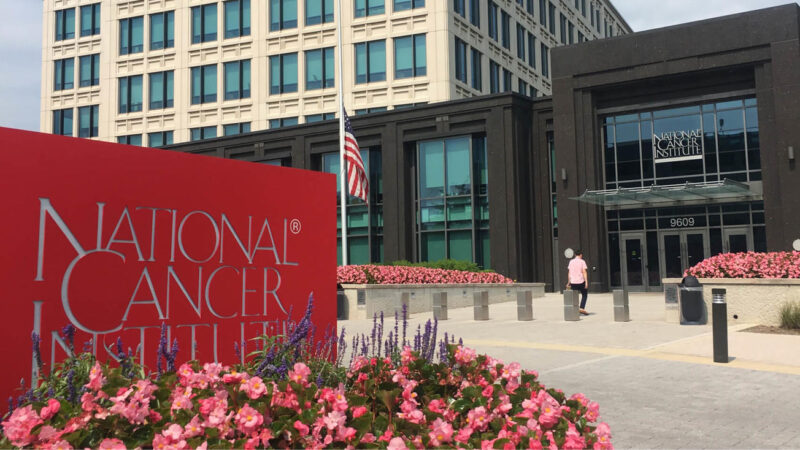 National Cancer Institute