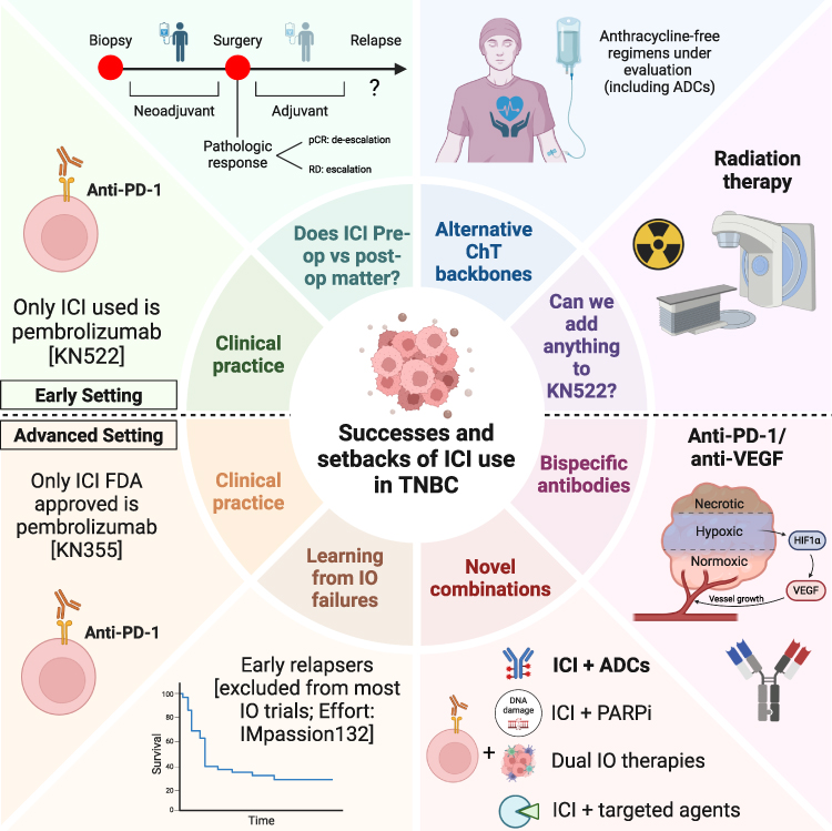 Immunotherapy for TNBC