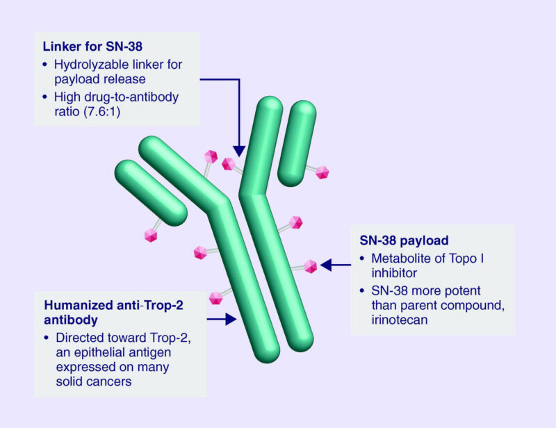 sacituzumab govitecan