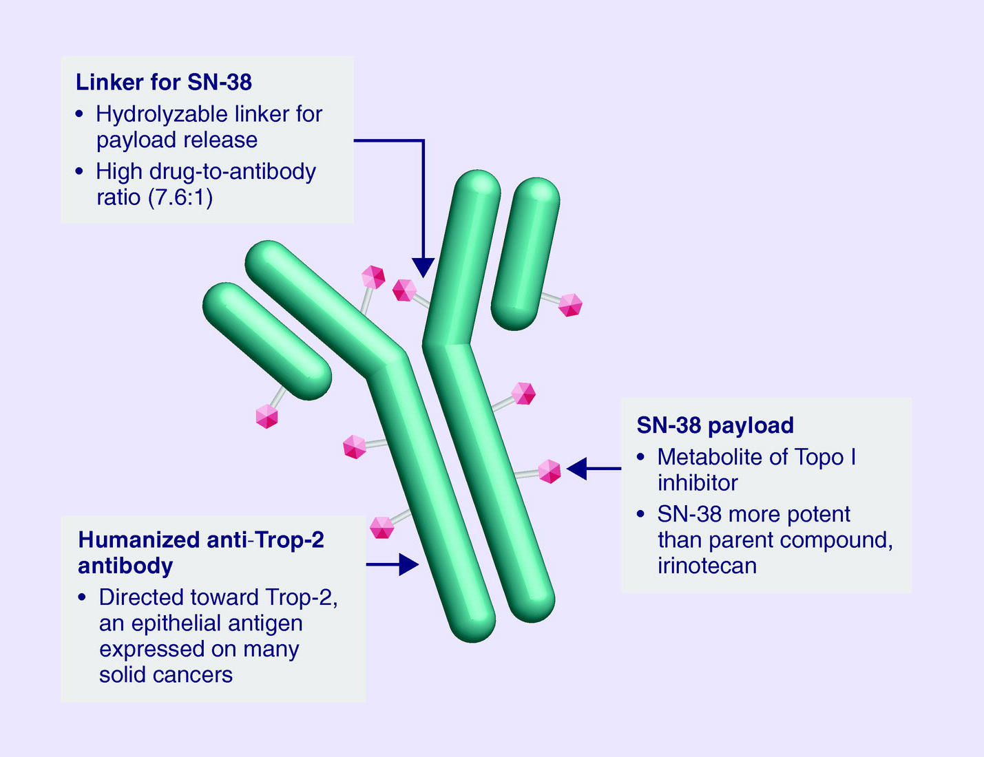 sacituzumab govitecan