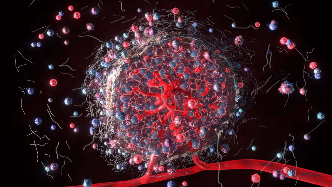 How the metabolic environment of tumors influences the function of T cells – Cancer Research Institute