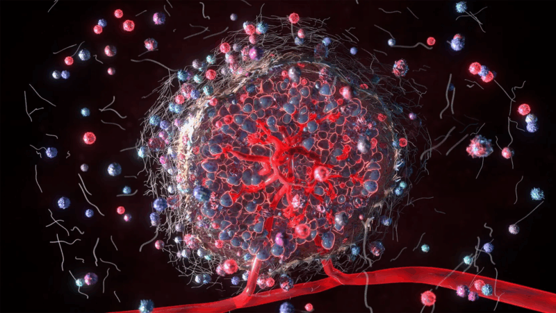How the metabolic environment of tumors influences the function of T cells – Cancer Research Institute