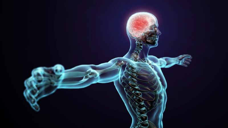 Use of Buprenorphine for the treatment of central pain – MASCC