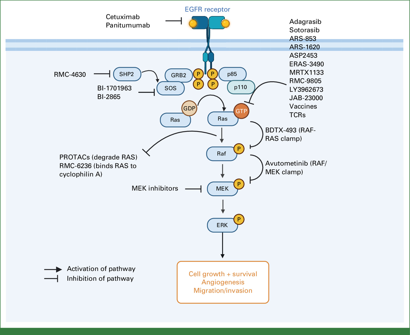 KRAS mutations in colorectal cancer