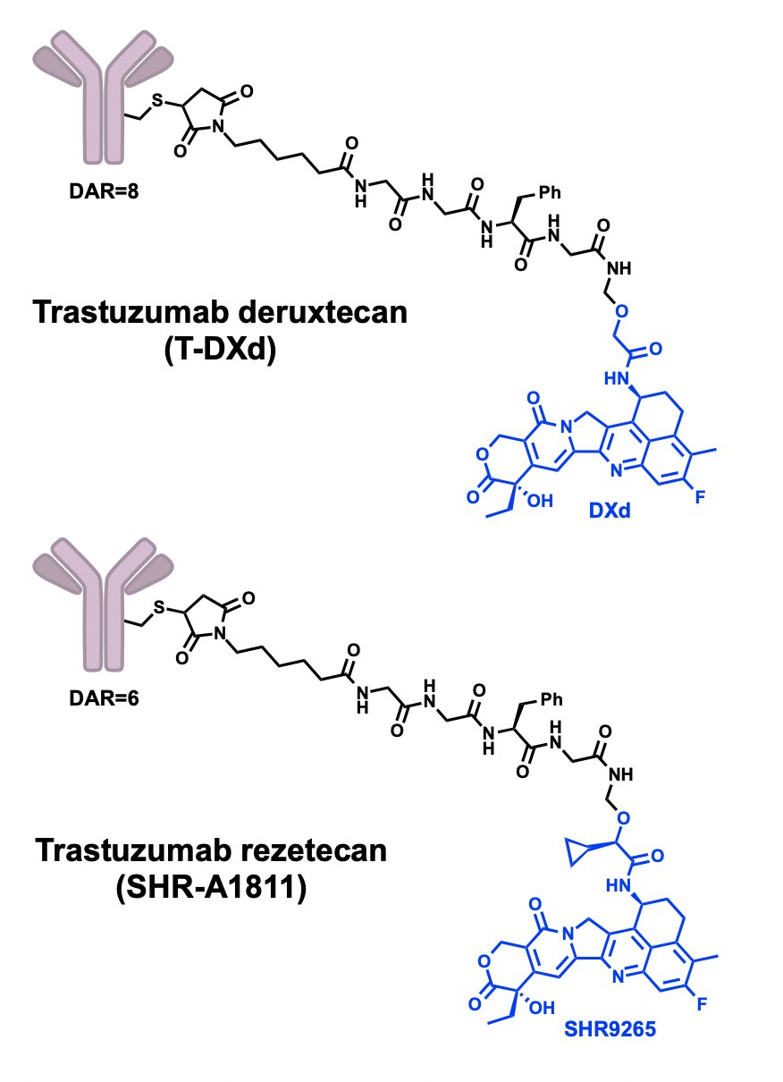 Antibody-Drug Conjugates