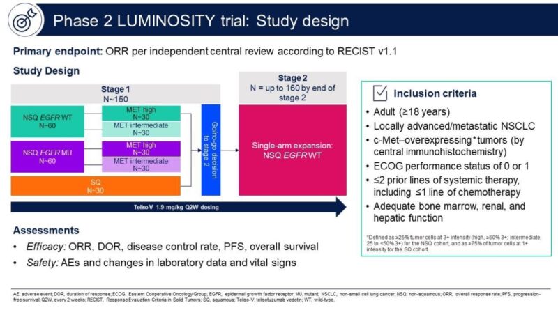 FDA Grants Accelerated Approval for Telisotuzumab Vedotin (EMRELIS™) in c-MET–Overexpressing Advanced Non-Small Cell Lung Cancer 3 Phase 2 LUMINOSITY Trial, study design on oncodaily
