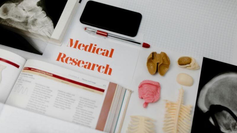 New postdoc opportunity at IARC studying the causes of cancer in diverse populations